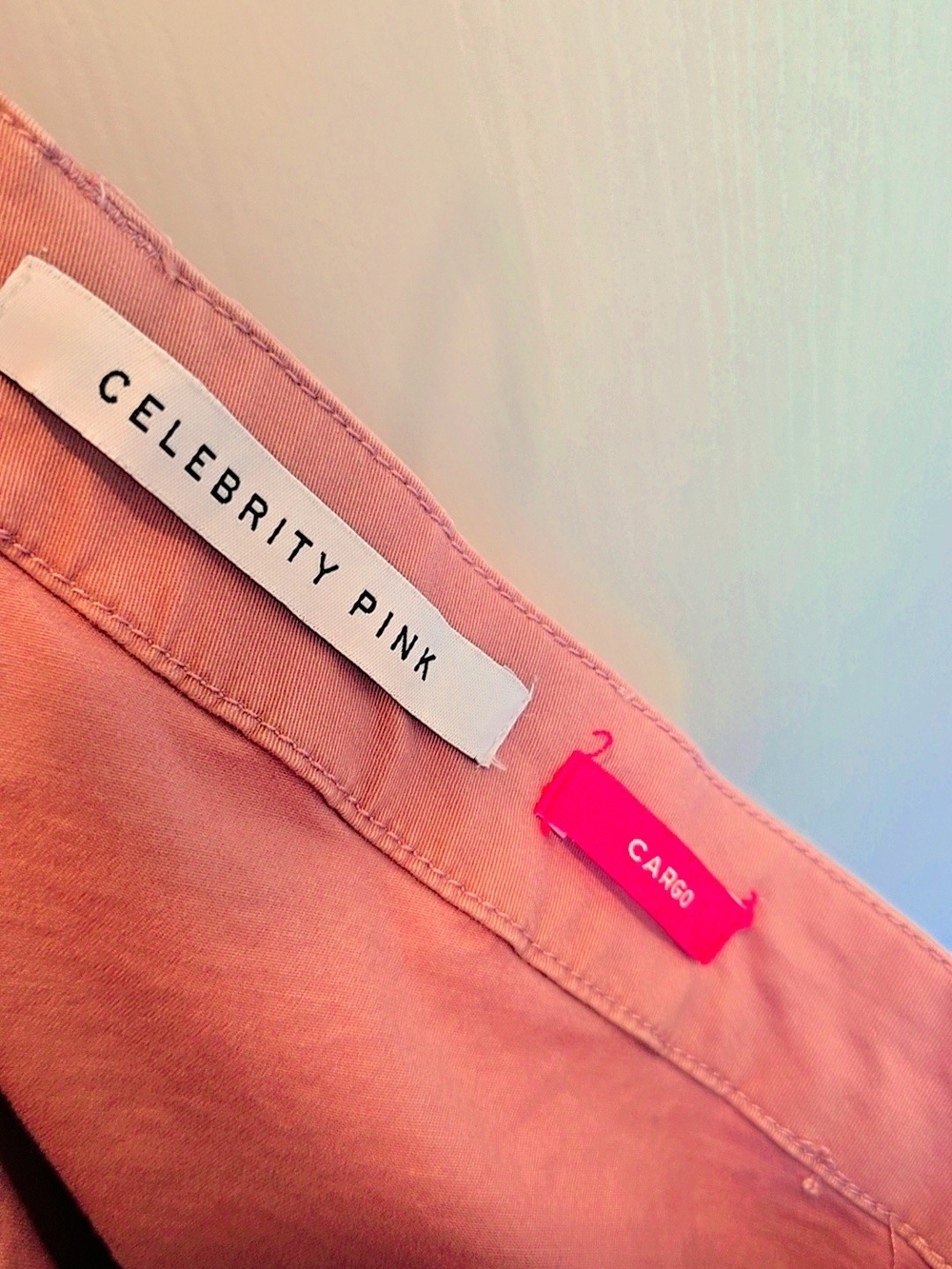 Celebrity Pink Dusty Rose Jacket
